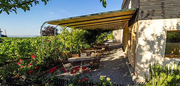 Salle élégante disponible à la location pour événement privé ou professionnel à Genève, en partenariat avec notre traiteur